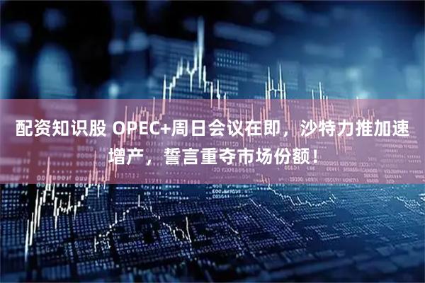 配资知识股 OPEC+周日会议在即，沙特力推加速增产，誓言重夺市场份额！