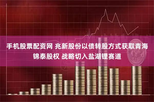手机股票配资网 兆新股份以债转股方式获取青海锦泰股权 战略切入盐湖锂赛道