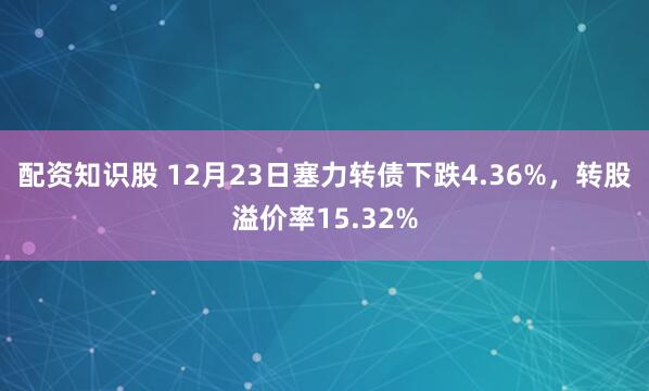 配资知识股 12月23日塞力转债下跌4.36%，转股溢价率15.32%